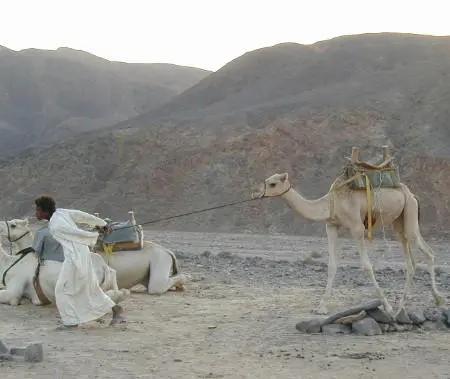 The Way of Righteousness Part 1