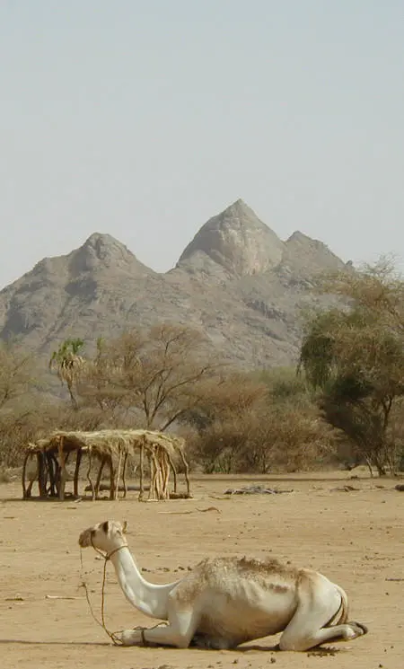 Tigre Way of Righteousness 3