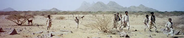 B Kids in the Desert