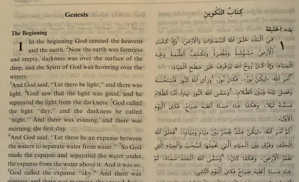 Stories from the Torah